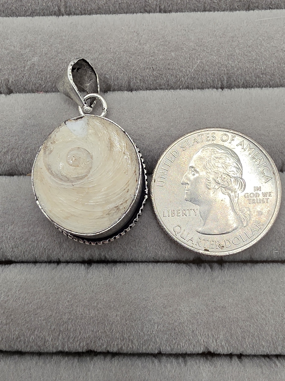 Silver Plated Cream Shell Pendant Necklace